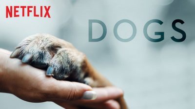 Documentary Review: Netflix’s Dogs