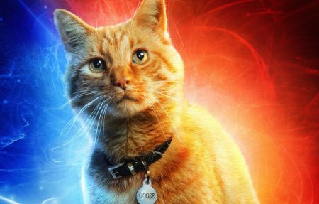 Captain Marvel’s Brie Larson & Samuel L. Jackson Celebrate #LoveYourPetDay