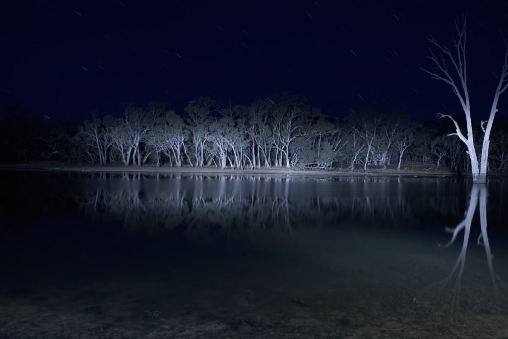 Lake Mungo: Horror in Mourning