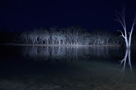 Lake Mungo: Horror in Mourning