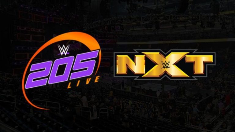 Triple H Talks about NXT, WWE 205 Live, and More