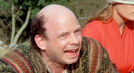 The Princess Bride Actor Wallace Shawn Voices Why He Would Be Nervous About a Remake