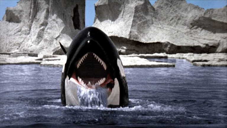 Cult Classics ‘The Spider’ and ‘Orca: The Killer Whale’ Get Blu-Ray Release This June