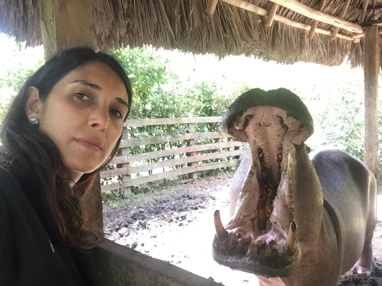 Gina Serna with a 'pet' hippo found on a farm