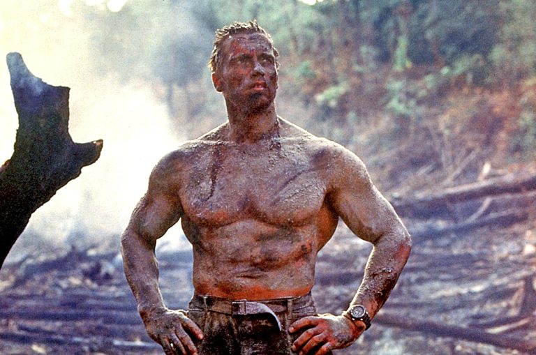 Rumor: Arnold Schwarzenegger May Return For New Predator Film