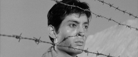 Criterion Collection Announces June Titles Including Works From Dee Rees, Samuel Fuller & More