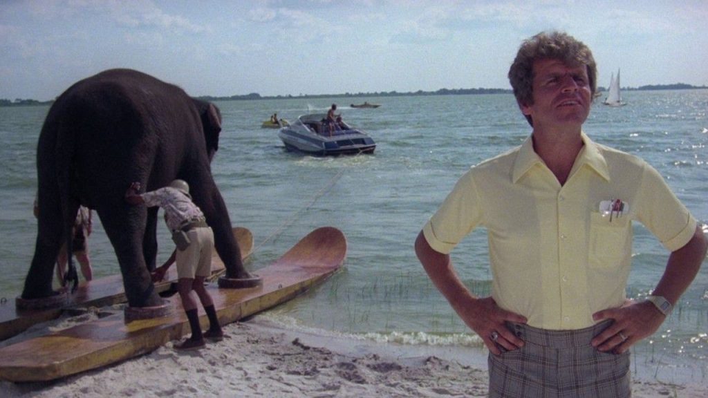 ‘Honky Tonk Freeway’ Blu-Ray Review – An Ambitious Satire On American Excess