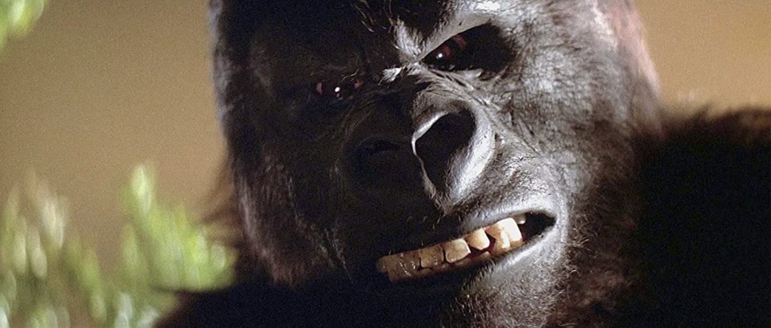 ‘King Kong’ (1976): Collector’s Edition Blu-Ray Review – Perfectly Imperfect Monster Epic Gets 5-Star Treatment ‘King Kong’ (1976): Collector’s Edition Blu-Ray Review – Perfectly Imperfect Monster Epic Gets 5-Star Treatment