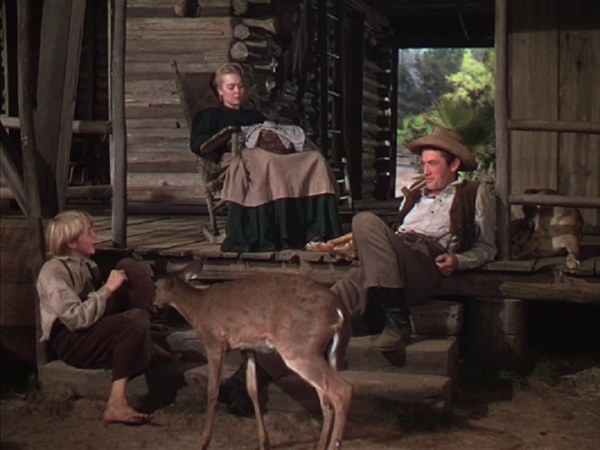 ‘The Yearling’ Blu-Ray Review – Gregory Peck And Jane Wyman Shine In Heartbreaking Literary Adaptation