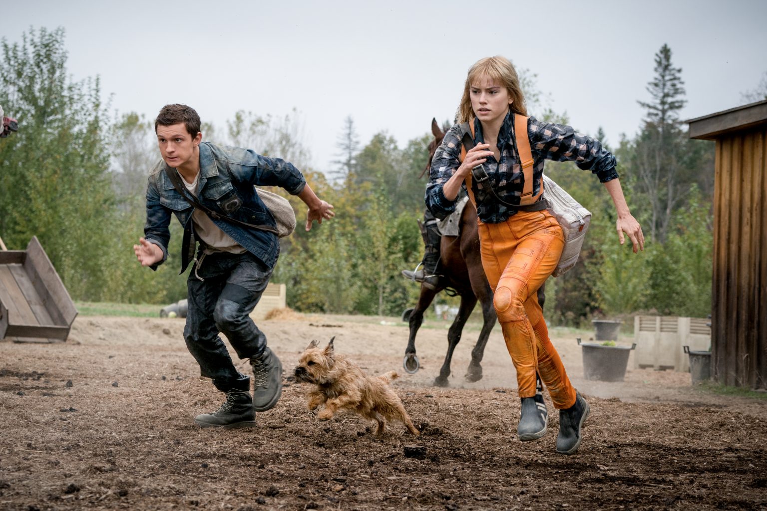 ‘Chaos Walking’ 4K UHD Blu-Ray Review – Ambitious Sci-Fi Tale Doesn’t Know What It Wants To Be ‘Chaos Walking’ 4K UHD Blu-Ray Review – Ambitious Sci-Fi Tale Doesn’t Know What It Wants To Be