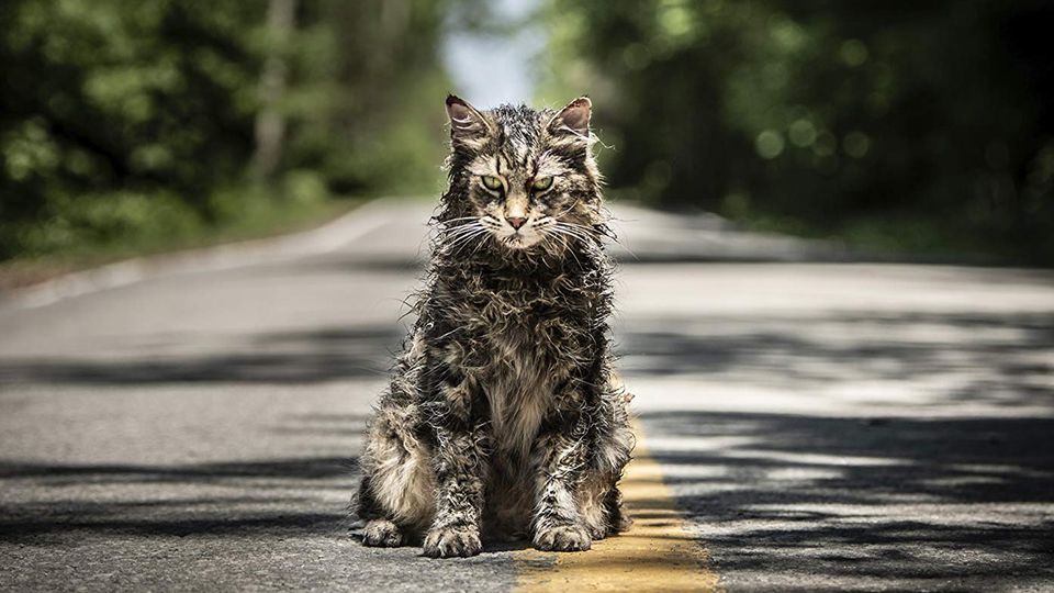 Details Released for The ‘Pet Sematary’ Prequel Film