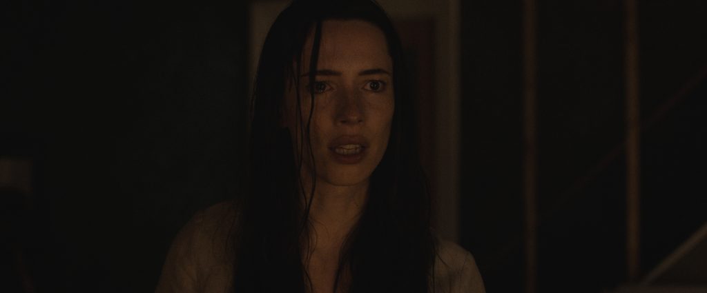 ‘The Night House’ Blu-Ray Review – Unsettling Ghost Story Has Thrills And Emotional Depth