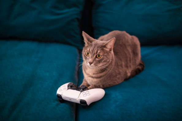 The Best New Games for the Ultimate Animal Lover