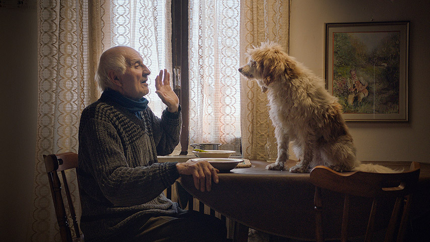 ‘The Truffle Hunters’ Blu-Ray Review – Delightful Documentary Offers A Window To A Private World