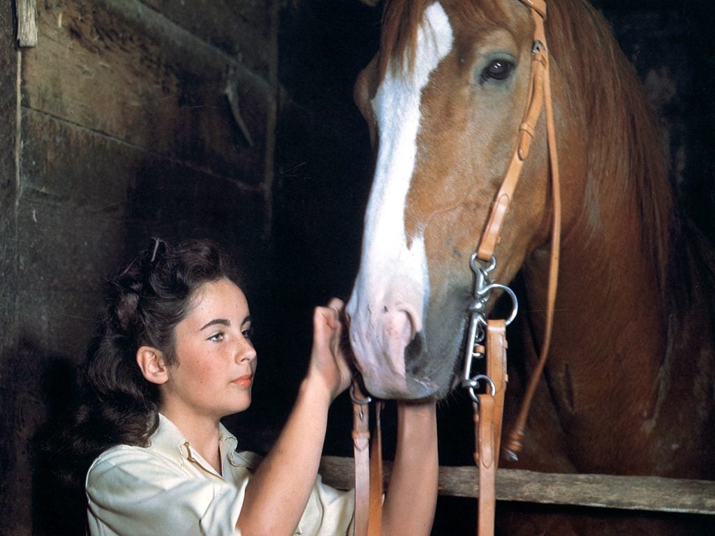 ‘National Velvet’ Blu-Ray Review – Elizabeth Taylor Makes A Charming Early Impression In Heartwarming Family Film