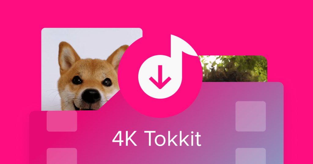 Want To Know How To Save All The Great Content From TikTok?