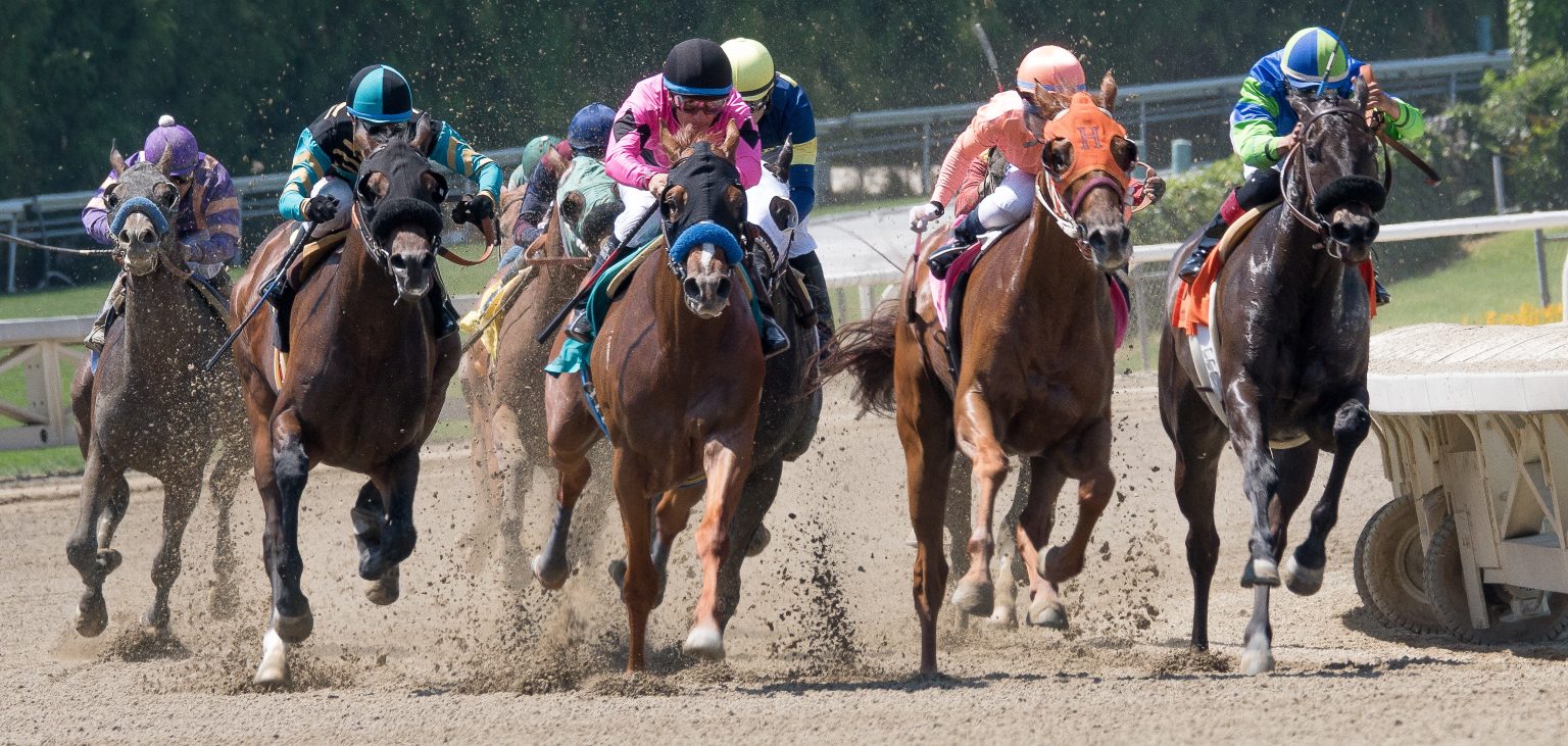Dubai World Cup 2022 Preview