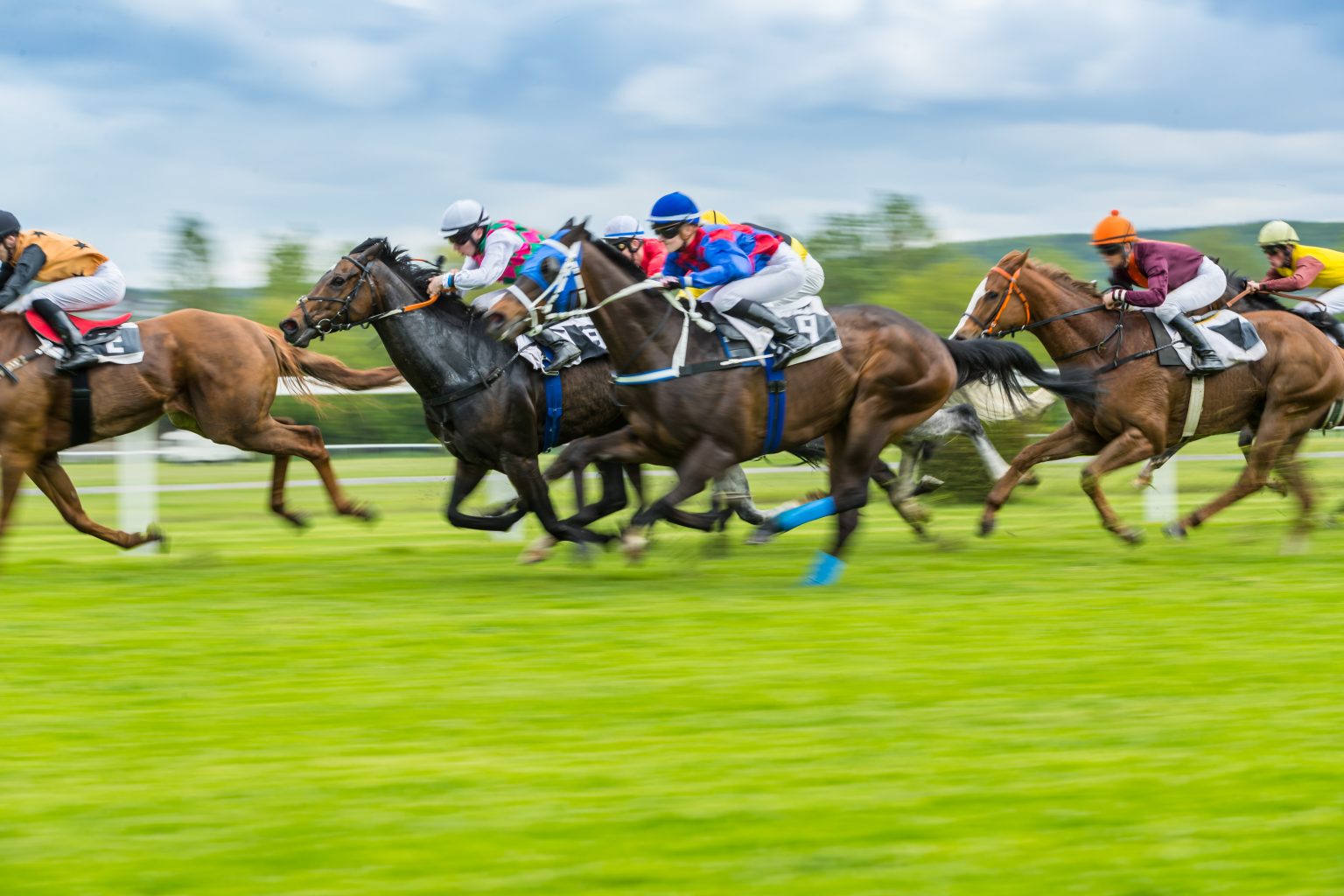 Horse racing: Betting Rules And Terminology