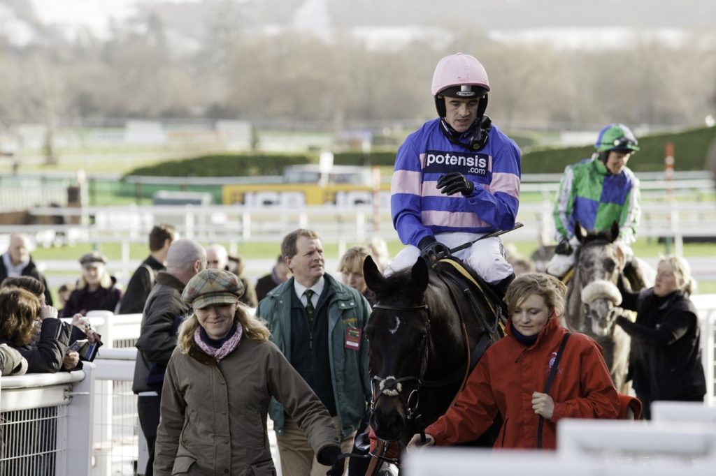 The Road To Cheltenham: Who comes into the Festival with the best form?