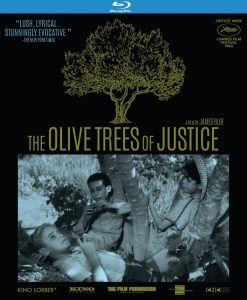 The Olive Trees of Justice Cover Art