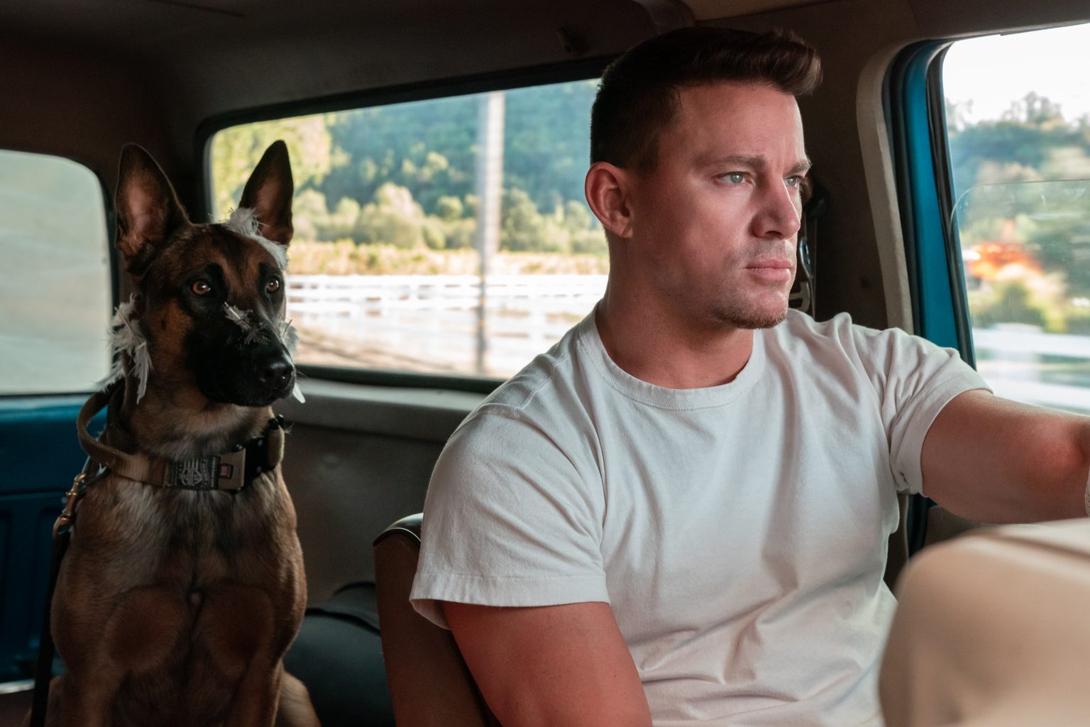 ‘Dog’ Blu-Ray Review – Channing Tatum Delivers Something Genuinely Funny And Heartfelt