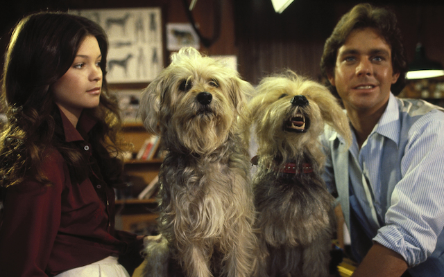 ‘C.H.O.M.P.S.’ Blu-Ray Review – How Can You Not Love A Crime-Fighting Robot Dog?