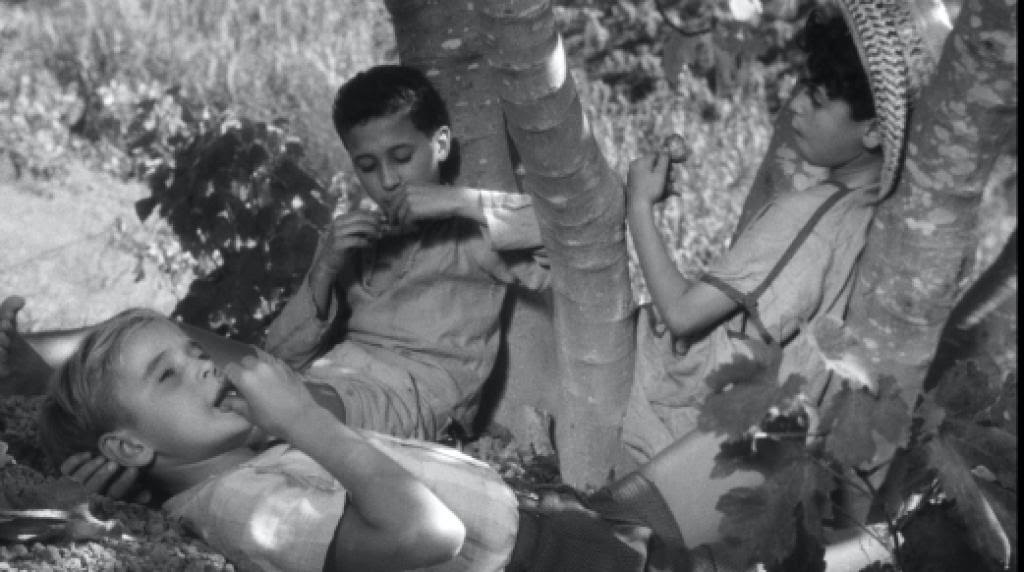 ‘The Olive Trees Of Justice’ Blu-Ray Review – An Intimate Reexamination Of The Past