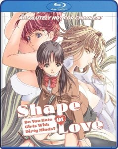 Shape Of Love- Do You Really Hate Girls With Dirty Minds Cover Art