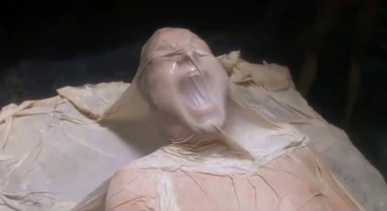 Scream Factory To Release The Terrifying Alien Abduction Tale ‘Fire In The Sky’ On Blu-Ray This June