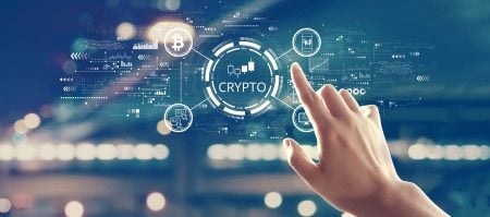 Pioneering The Path Of Online Success