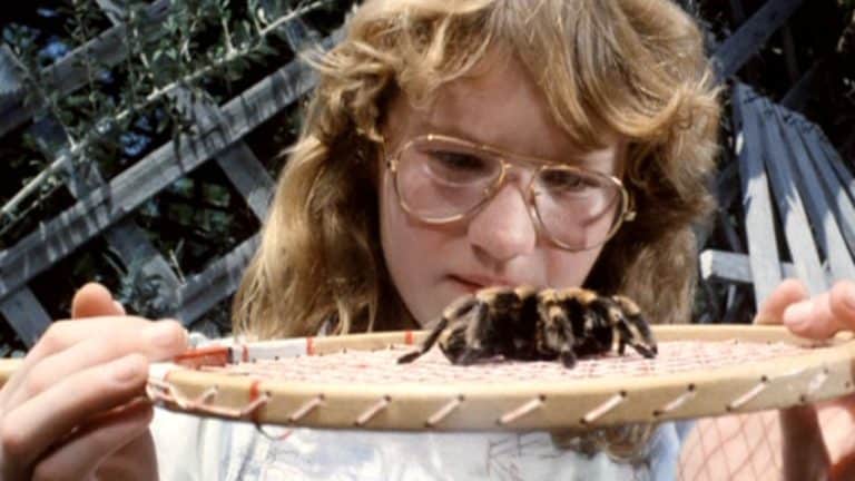 ‘Tarantulas: The Deadly Cargo’ Blu-Ray Review – A Slowly Creeping Eco-Horror Feature