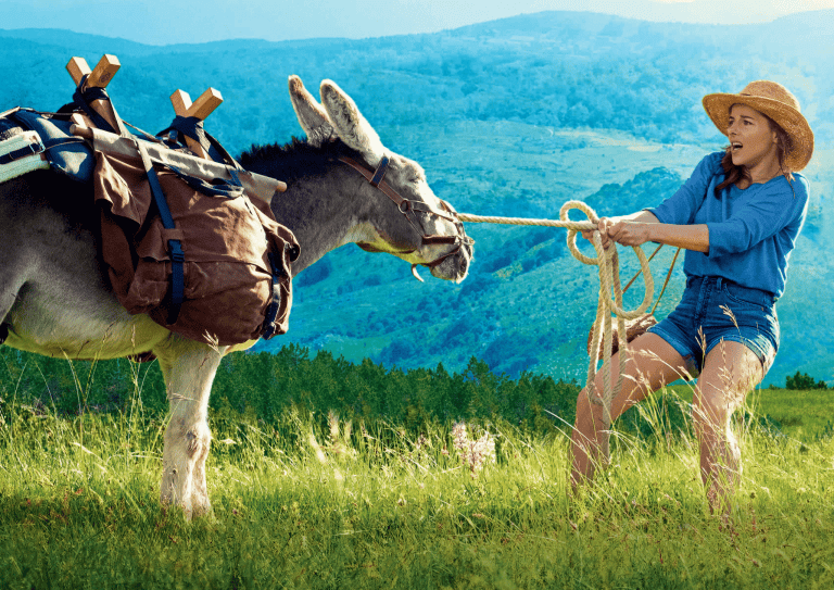 ‘My Donkey, My Lover & I’ Review – A Charming Journey of Self-Discovery and Perilous Passion