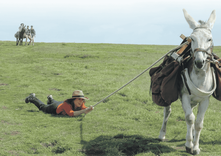 ‘My Donkey, My Lover & I’ DVD Review – An Utterly Charming Journey Of Self Discovery