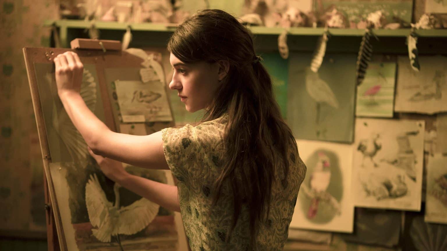 Sony To Release The Captivating Daisy Edgar-Jones Mystery ‘Where The Crawdads Sing’ On Blu-Ray Very Soon