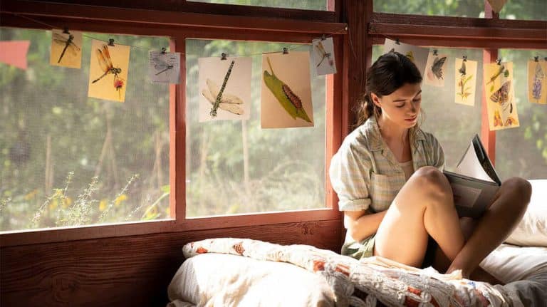 ‘Where The Crawdads Sing’ Blu-Ray Review – A Predictable But Entertaining Studio Drama For Adults