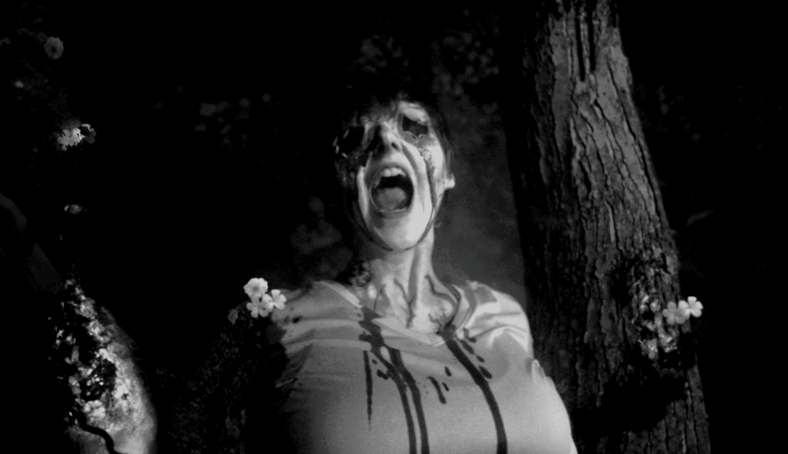 New Trailer Arrives For Josh Stifter’s ‘GREYWOOD’S PLOT’