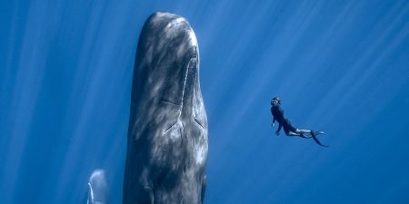 ‘Patrick and the Whale’ TIFF 2022 Interview – Director Mark Fletcher Describes How ‘The Whales Started To Direct The Movie’