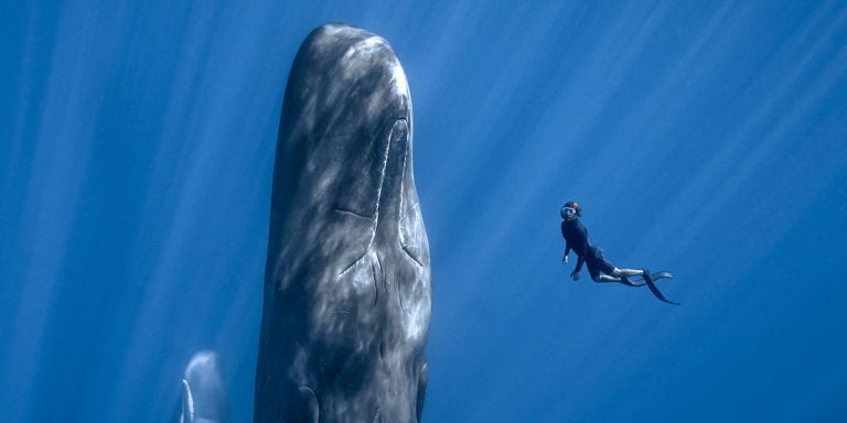 ‘Patrick and the Whale’ TIFF 2022 Interview – Director Mark Fletcher Describes How ‘The Whales Started To Direct The Movie’