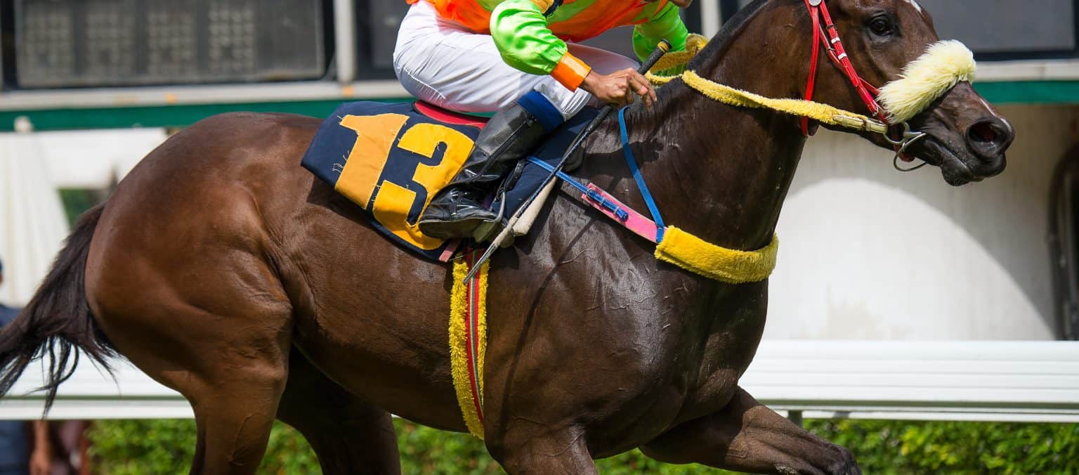 Top 5 Interesting Facts About British Casino Derby