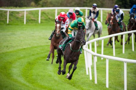 4 Things About The Melbourne Cup Field 2022
