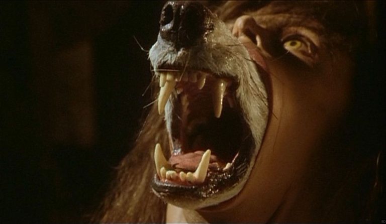 ‘The Company Of Wolves’ 4K UHD Blu-Ray Review – A Wonderfully Grotesque Dark Fairytale ‘The Company Of Wolves’ 4K UHD Blu-Ray Review – A Wonderfully Grotesque Dark Fairytale