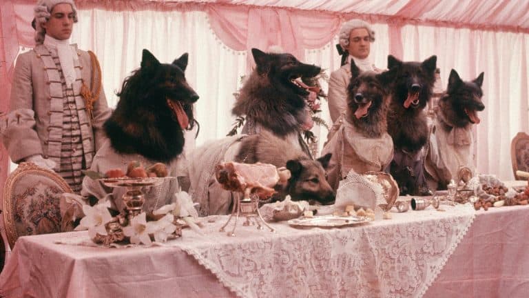 Scream Factory To Give The Gothic Horror ‘The Company Of Wolves’ A New Collector’s Edition 4K UHD Release