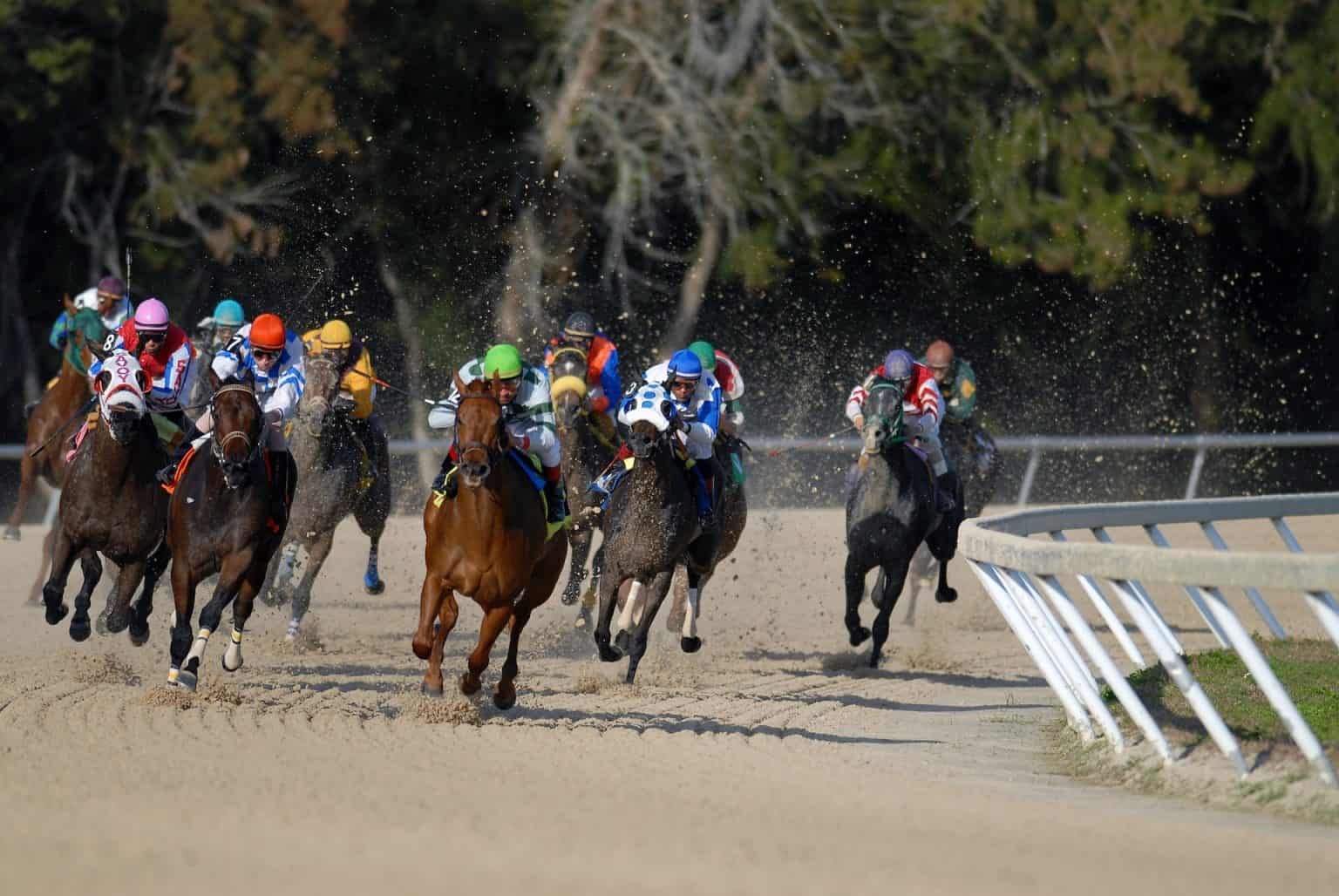 Which Breeders’ Cup Contenders Could Outperform Their Odds?