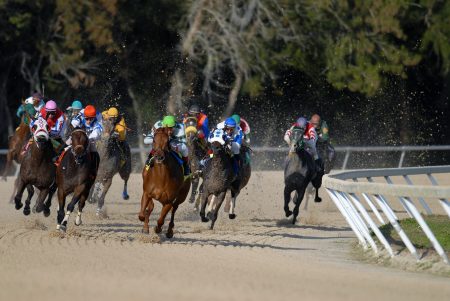 Which Breeders’ Cup Contenders Could Outperform Their Odds?