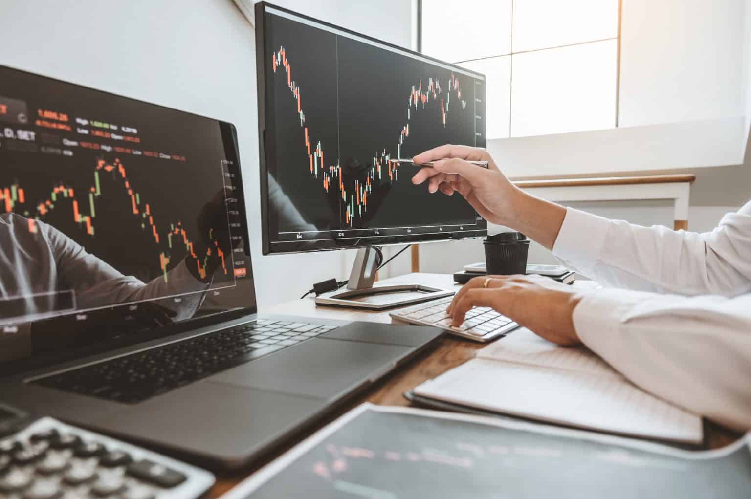 Why Choose WildBearUnion.net Reviews For Your Trading Needs?