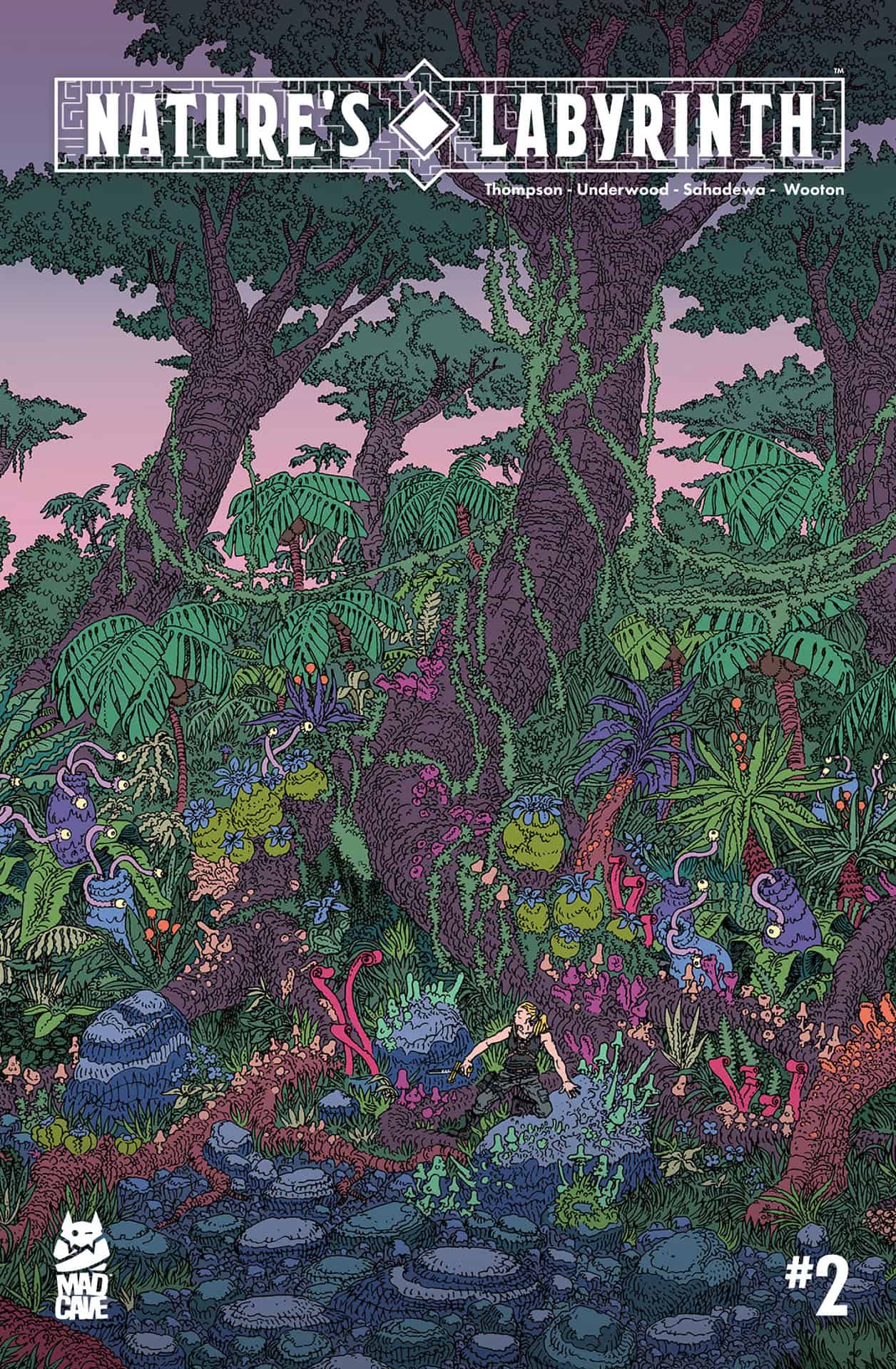 Natures Labyrinth 2 Cover