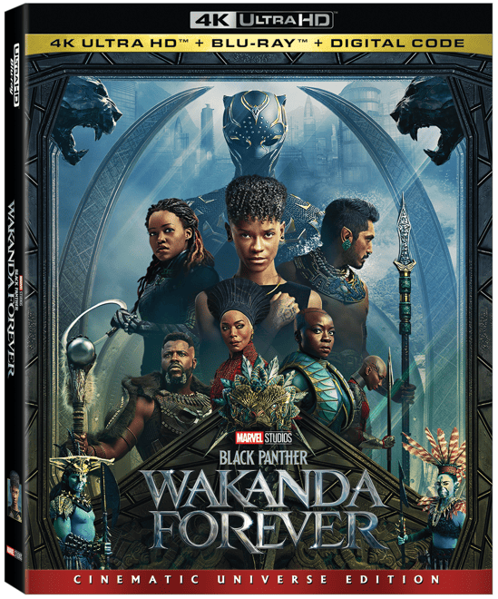 Black Panther Wakada Forever Cover Art