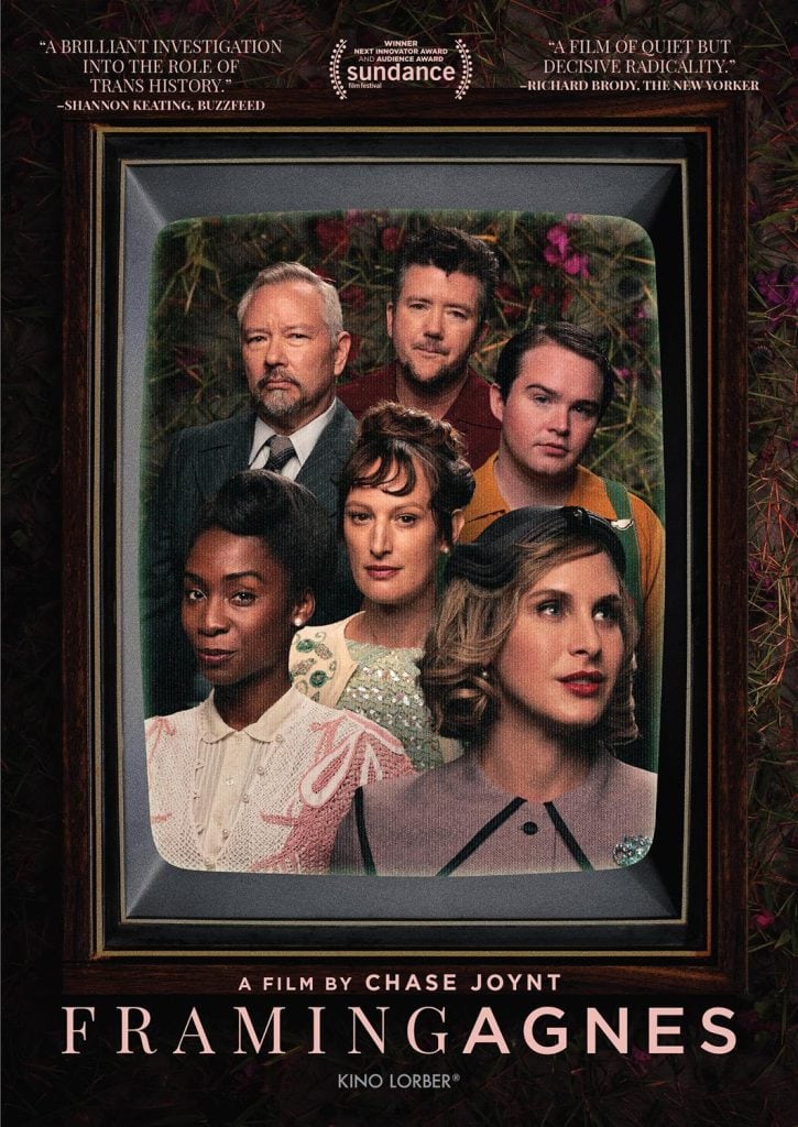 Framing Agnes Cover Art