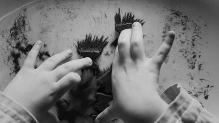 ‘Iron Butterflies’ Sundance 2023 Review – A Compelling View Of A Tragic Incident That Loses Itself In The Telling