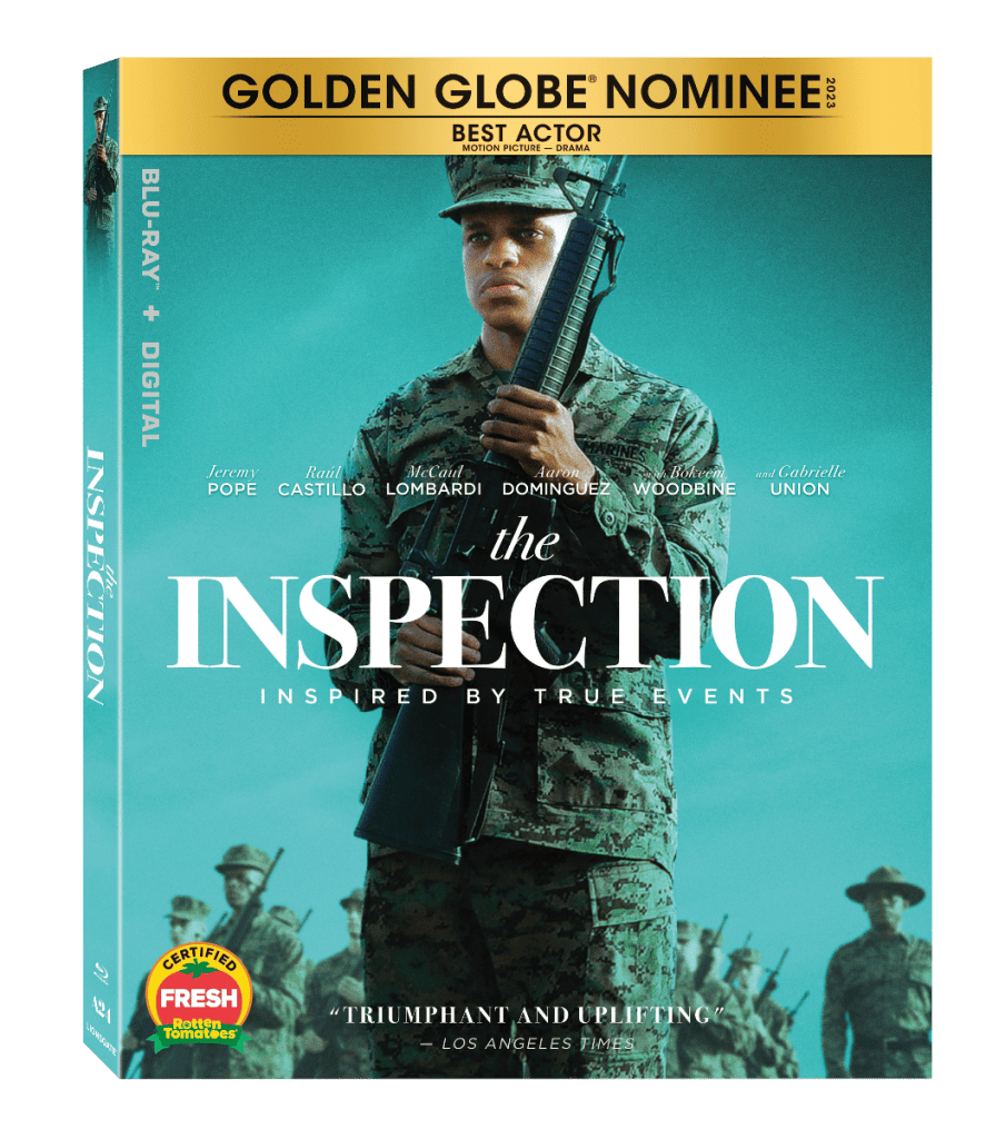 The Inspection Cover Art
